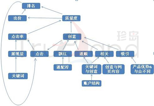 影响排名的关系网细分