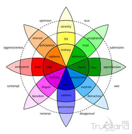 情绪示意轮